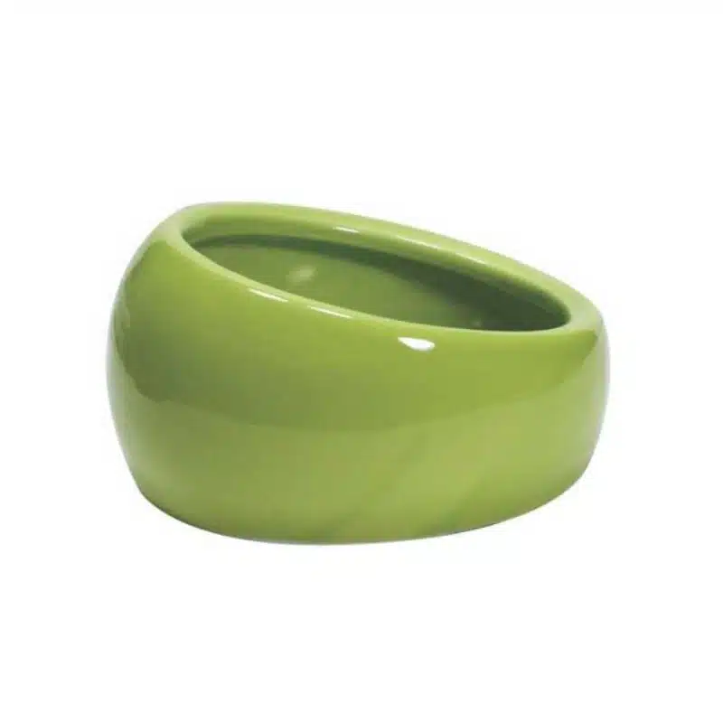 Comedero de Ceramica Ergonomico Verde para animales pequeños y exóticos