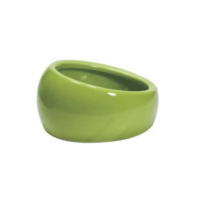 Comedero de Ceramica Ergonomico Verde para animales pequeños y exóticos