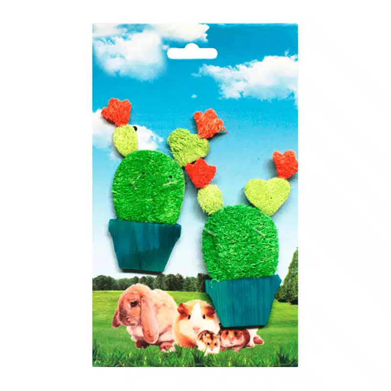 Juguete de Loofah Cactus 2 un