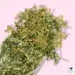 Las Hojitas de Alfalfa con Calendula de La Granjita de Conejino son un snack 100% natural, ideal para complementar la dieta diaria de conejos, cuyes, chinchillas y otros pequeños herbívoros.