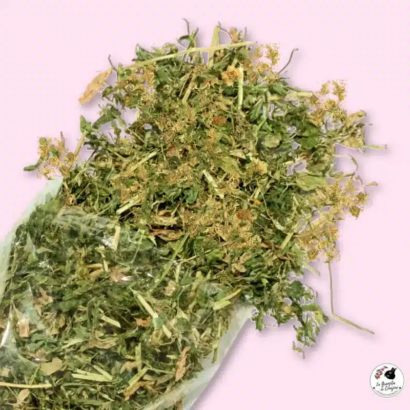 Las Hojitas de Alfalfa con Calendula de La Granjita de Conejino son un snack 100% natural, ideal para complementar la dieta diaria de conejos, cuyes, chinchillas y otros pequeños herbívoros.