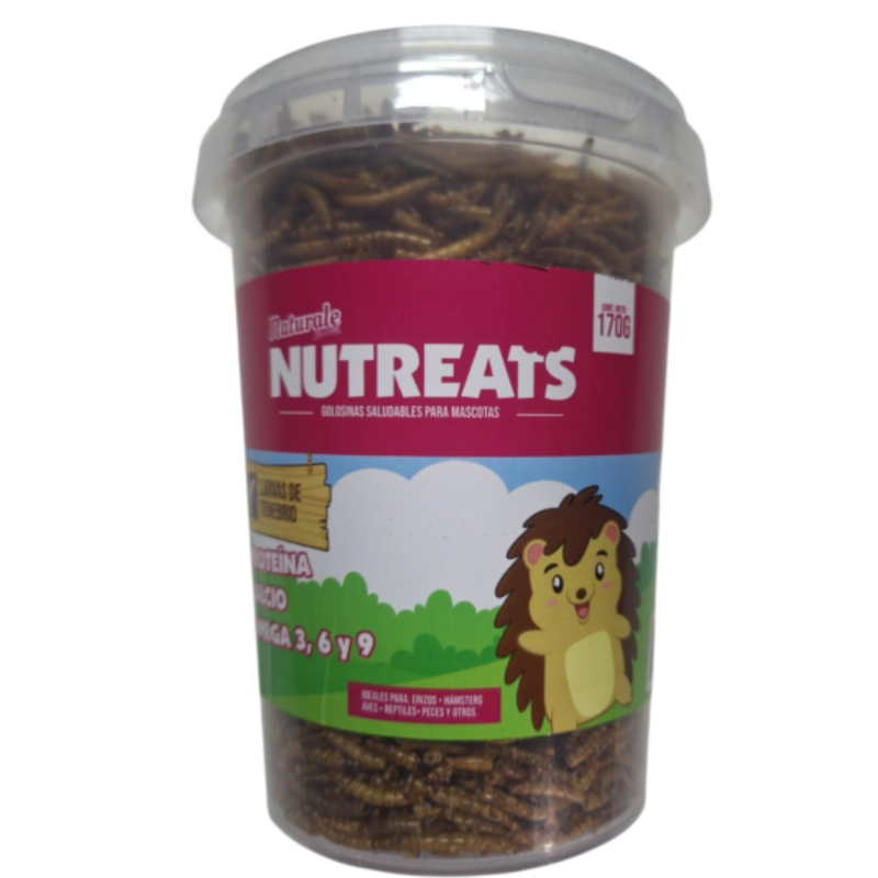 Tenebrio Deshidratado Nutreats es un snack alto en proteínas, grasas saludables y minerales, ideal como complemento alimenticio y estímulo conductual